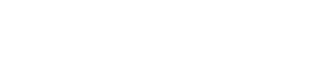 Business Journalist